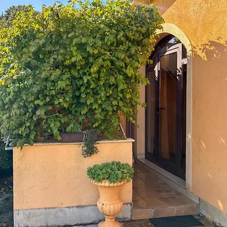 Amazing In With Wifi Apartament