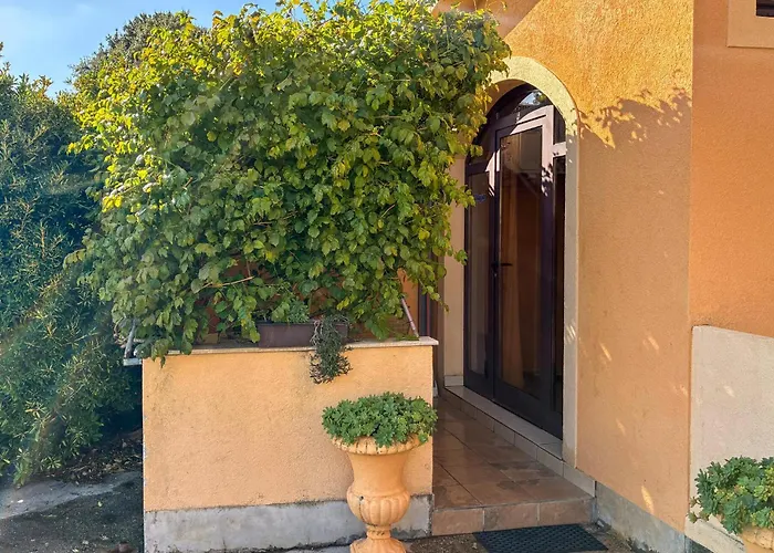 Amazing In With Wifi Apartament